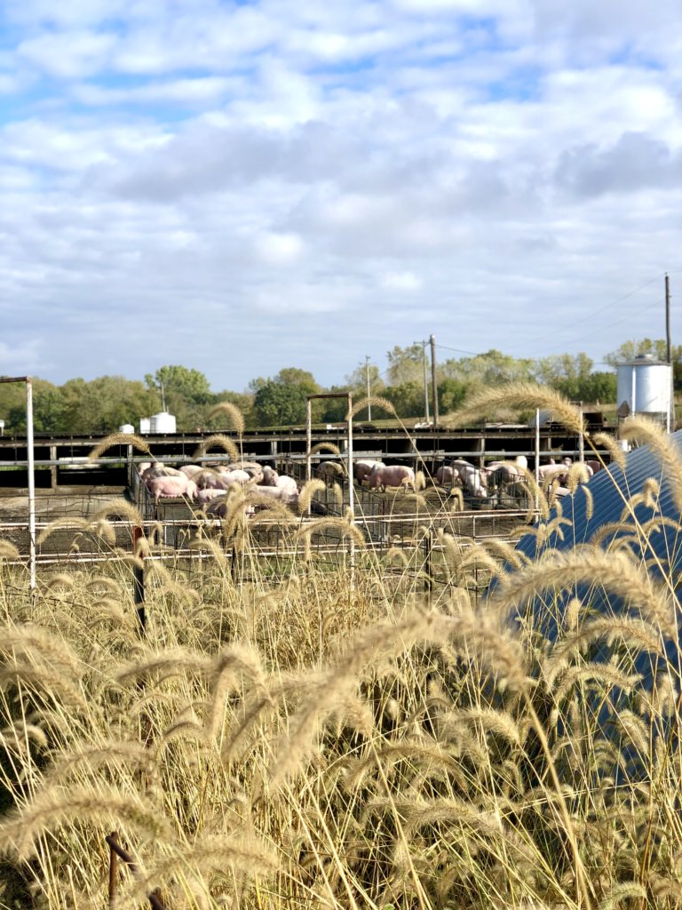 Farm Tour Across Kansas